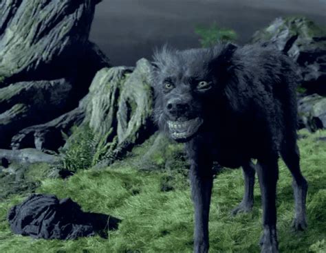 animagus sirius black dog|sirius black real name.